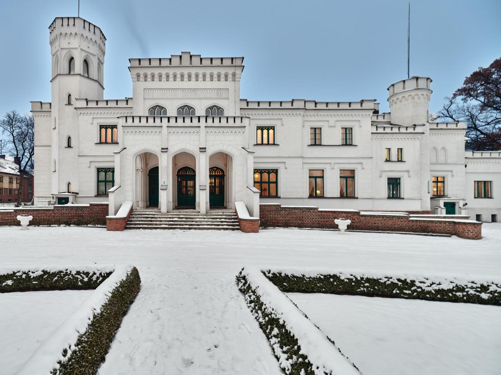 Palac Potockich W Bedlewie Bedlewo Exterior photo