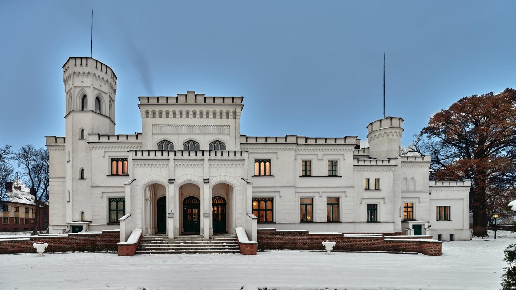 Palac Potockich W Bedlewie Bedlewo Exterior photo
