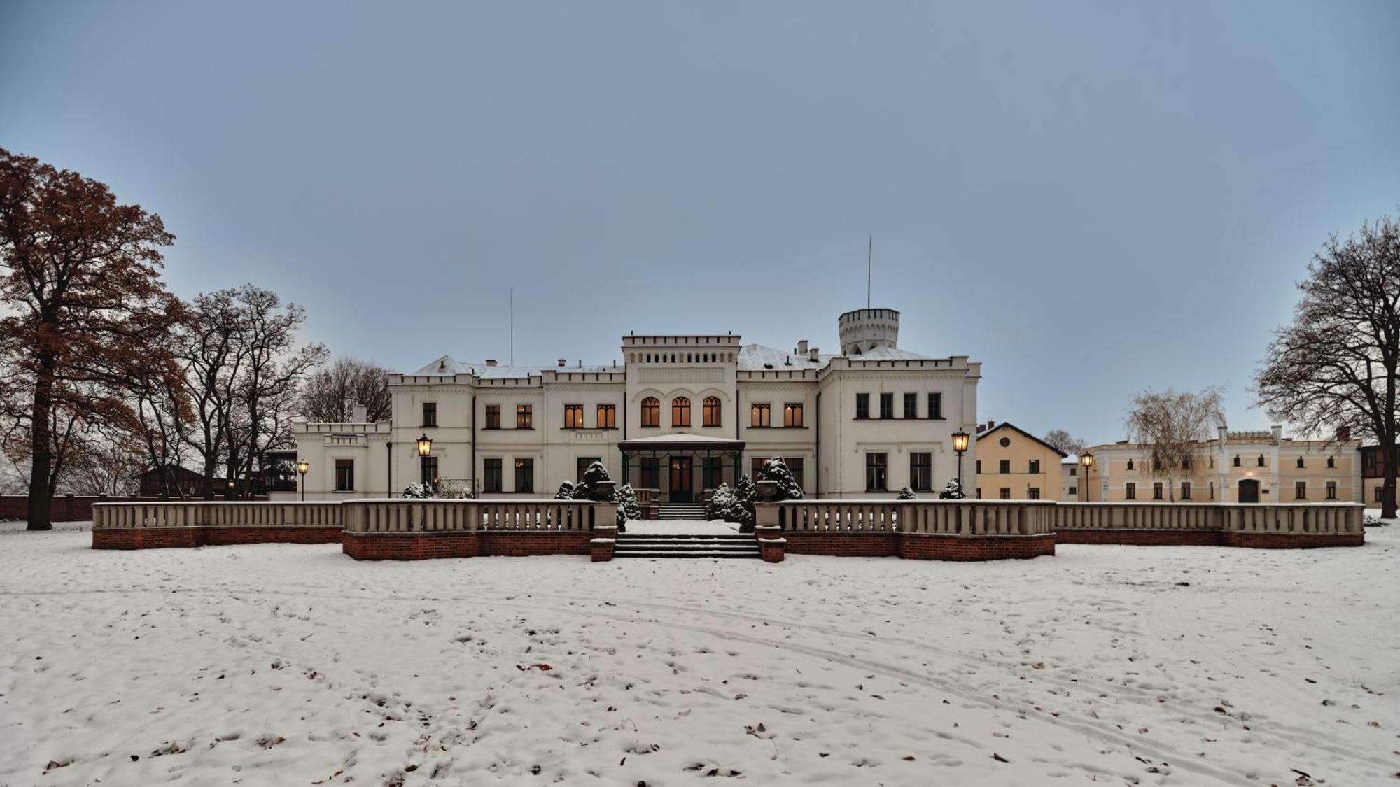 Palac Potockich W Bedlewie Bedlewo Exterior photo